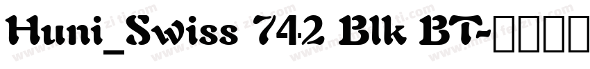 Huni_Swiss 742 Blk BT字体转换